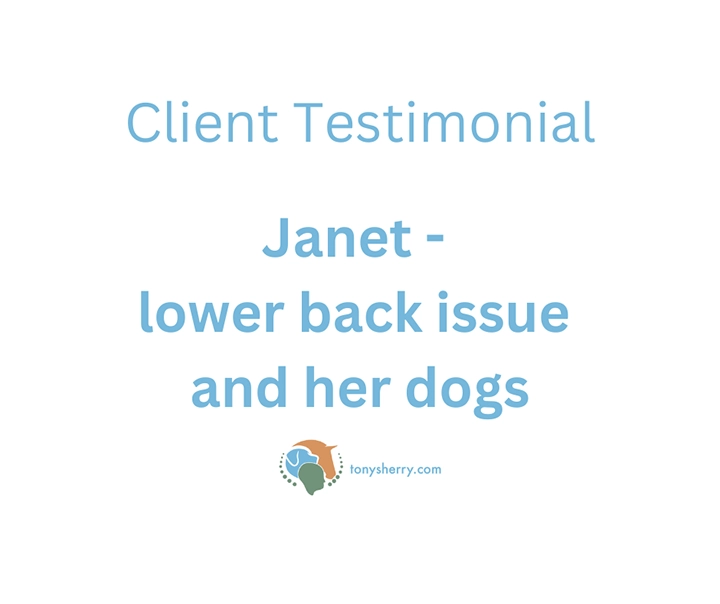 Janet | Testimonial