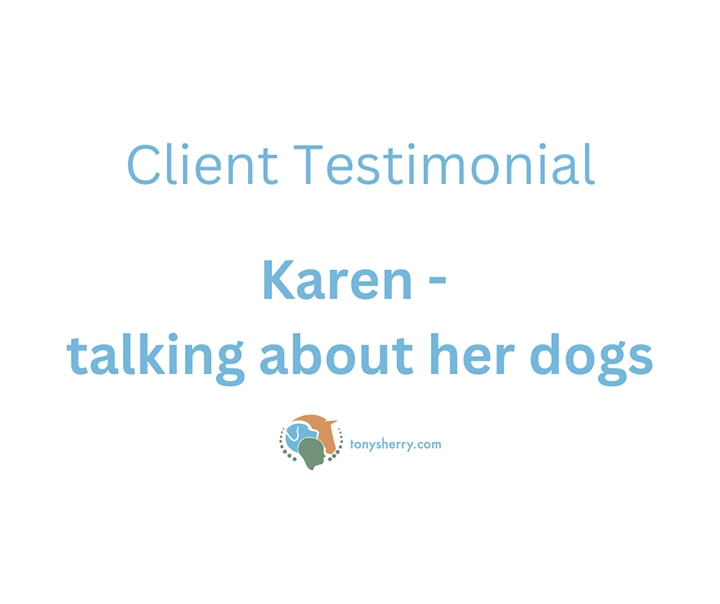 Karen | Testimonial
