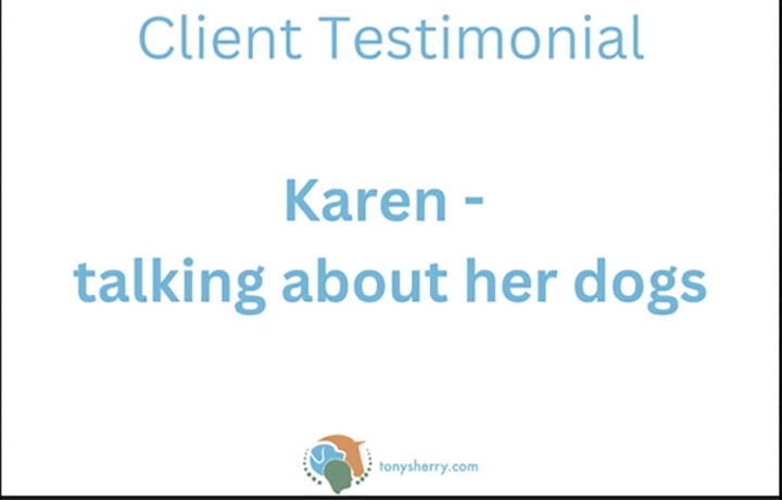 Karen testimonial