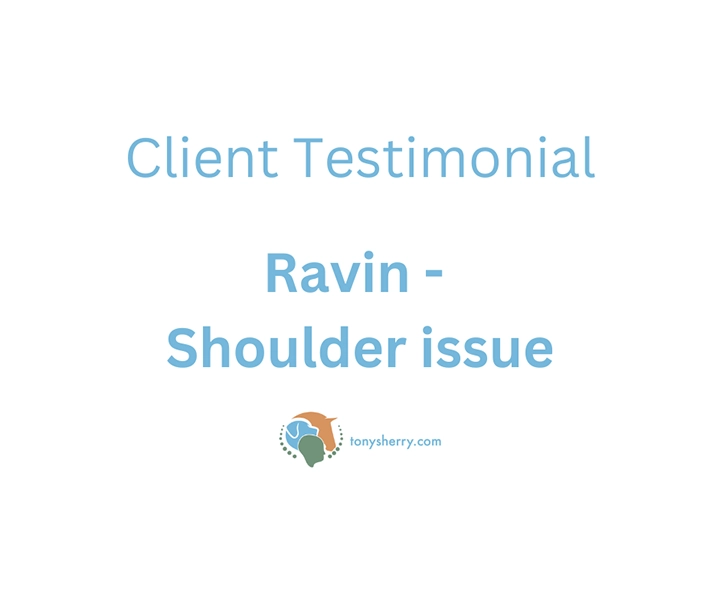 Ravin | Testimonial