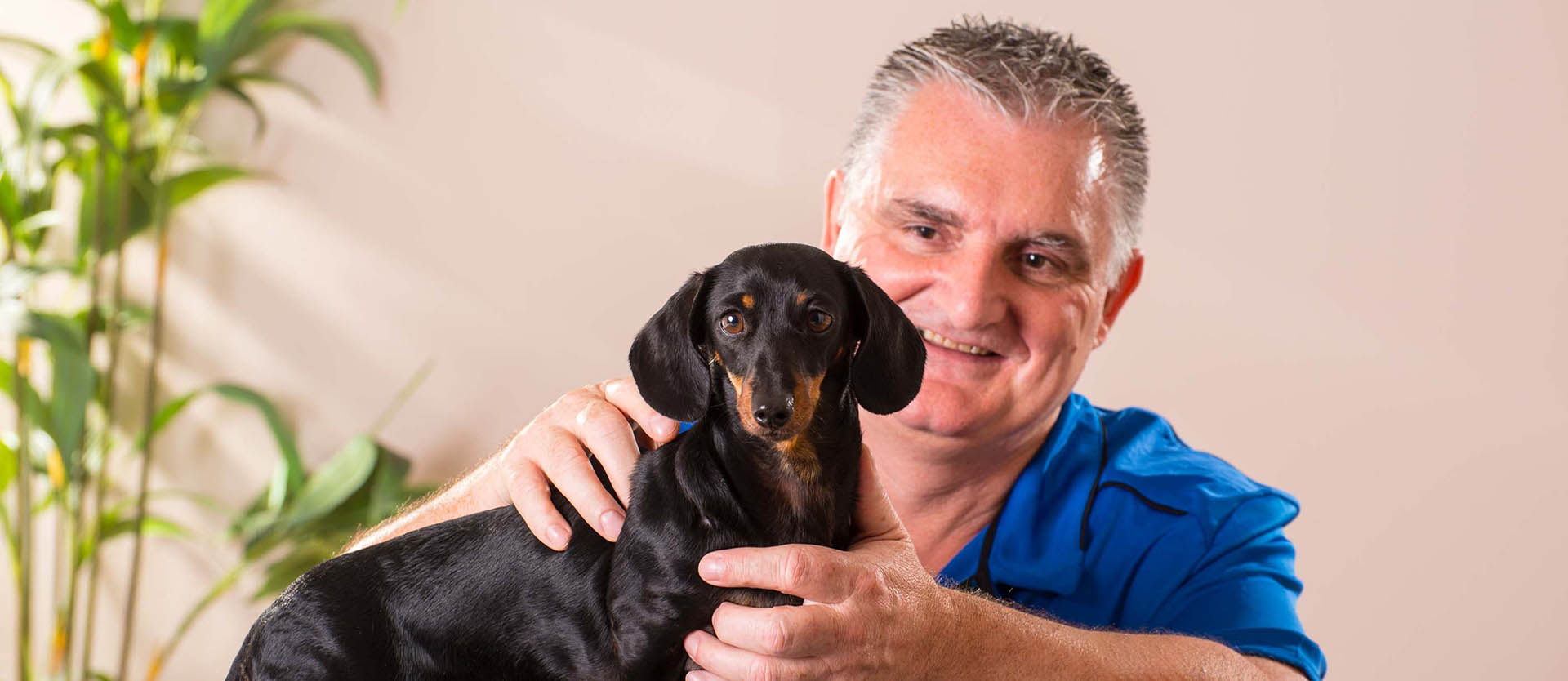 Tony Sherry treating a dog