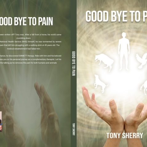 Goodbye to Pain by Tony Sherry