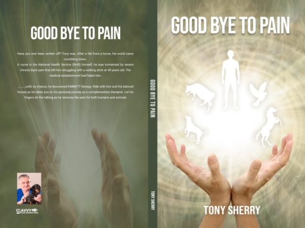 Goodbye to Pain by Tony Sherry
