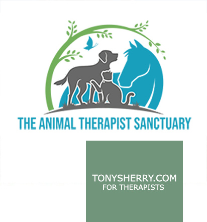 Tony Sherry for Therapists