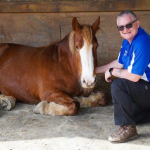 Exploring Holistic Wellness: My Journey from Nursing to Complementary Therapy